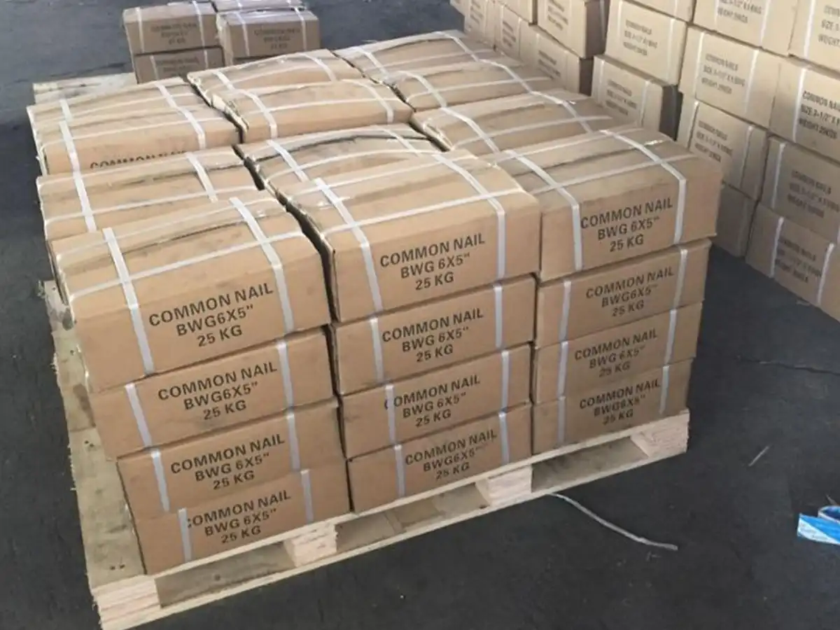 camasteel-common-wire-nails-5