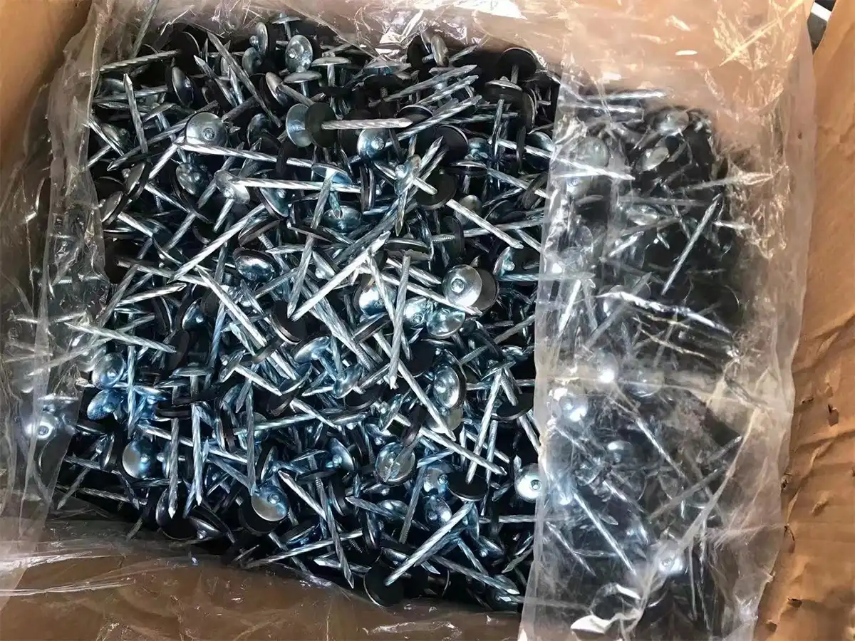 camasteel-roofing-nail-2